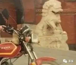 今天最甜的瓜周冬雨和易烊千玺恋情石锤