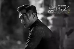 8月7日七夕登陆使徒行者2
