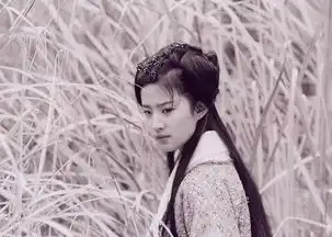 仙剑电视剧赵灵儿精彩剧照9