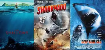 中美票房双爆巨齿鲨才是合拍大片的最正确姿势
