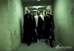 邹兆龙居家很自私真功夫折服好莱坞