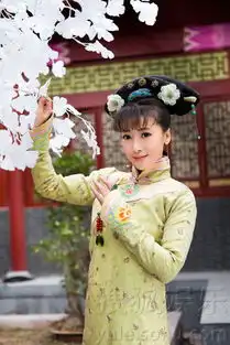 金钗谍影热拍陈紫函出演清宫版林黛玉
