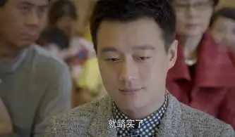 虎妈猫爸第25集剧照,虎妈猫爸图片
