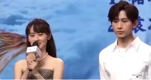 成毅粉丝按帧分析收官云歌会,为正主洗白,可网友并不买账