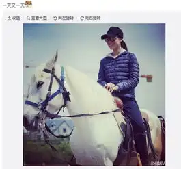 倪妮骑白马现身会十足网友女神好酷

