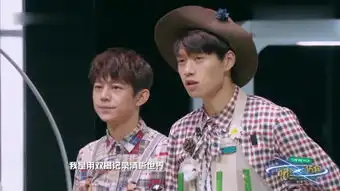 一个明星的诞生