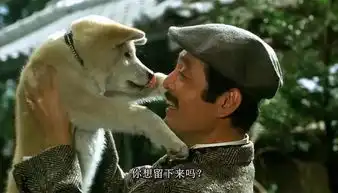 这10部日本电影,是无数人心中的最佳,有你喜欢的吗