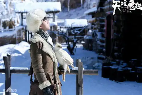 以后在电视上看张保庆
