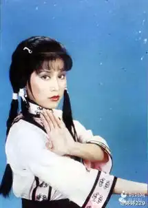 揭秘十大功夫明星实力大比拼