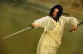 东邪西毒林青霞的结束与开始组图