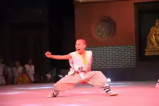 当少林功夫遇上瑜伽中印文化交流硕果累累
