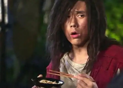 历史上一傀儡皇帝,金庸把他编得武艺高强,他侄子被写成小说主角