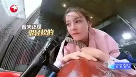 迪丽热巴抚摸小海豚,却遭到小海豚甜蜜暴击,脸都被亲肿了
