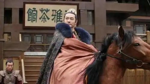 南宋皇帝要降罪于长公主之子,公主给他看了一样东西,便不再追究
