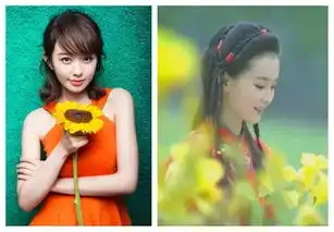 情深深雨蒙蒙将翻拍主演阵容赵丽颖王凯张嘉倪挑战角色
