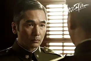 组图孙红雷搭档方中信触不可及曝军装照
