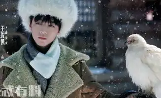 天坑鹰猎张保庆喜欢的人是小红果还是菜瓜张保庆的白鹰是什么品种
