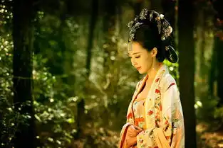 胸多吉少武媚娘传奇已复播