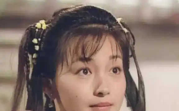 郭襄成为宗师后,为何不去寻找姐姐郭芙看看她改嫁给了谁