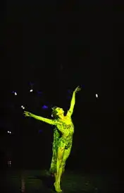芭蕾舞剧仲夏夜之梦19
