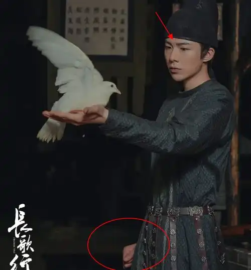 长歌行剧照来袭,三配角手捧鸽子引热议,网友暗藏深意