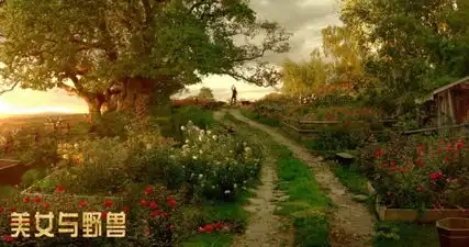 美女与野兽首曝剧照极美风景尽显魔幻绮情
