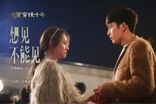 相爱穿梭千年2015年郑爽井柏然主演周播剧搜狗百科
