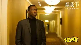 绿皮书在线播放影片完整版抢先看