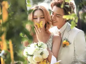 全新怦然心动系列