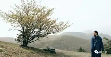 馨香丨高远东在忌日纪念海子海子诗九首
