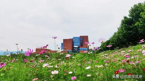 重庆这所即将更名大学的本科院校,拥有5位院士引发网友热议
