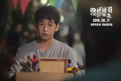 快把我哥带走一部讲述兄妹情深的故事催人泪下
