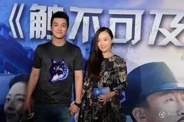 触不可及北京首映群星云集交口称赞