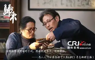 归来发主演特辑巩俐遇困难陈道明曝看点图
