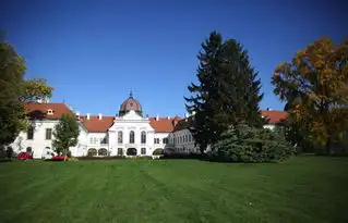 匈牙利atvceo塔马斯寇瓦克茨我们已经做好准备,向匈牙利人民更多地介绍中国