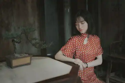 窈窕淑女君子好逑