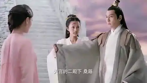 三生三世十里桃花凤九找少辛算账,却被帝君拦下,却是为何
