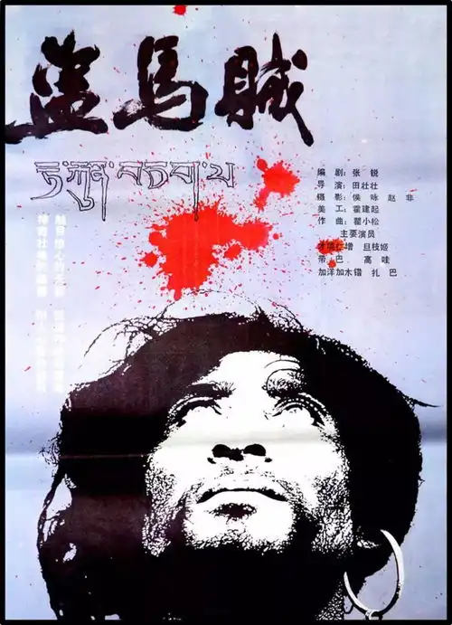 4k修复在数字时代闻到最真实的胶片味道技术控谈黄马二片之修复
