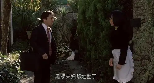 不可见的世界
