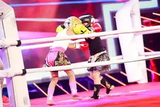 拳击姐妹花上演中国版摔跤吧爸爸
