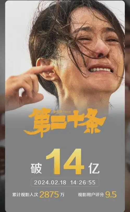 第二十条不是拍给老百姓看的,建议法官看完写3000字观后感
