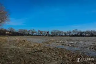 颐和园一游一西门至界湖桥风光