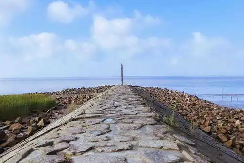 上海又一景点走红,电影悲伤逆流成河取景地,景美却鲜有人知