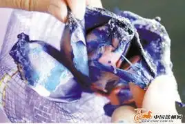 情人节临近记者走访花市鲜花染色是公开秘密
