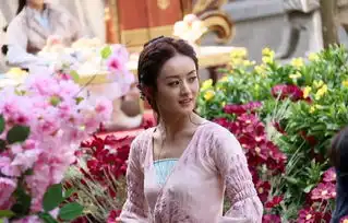 特工皇妃之楚乔传林更新与赵丽颖相爱相杀
