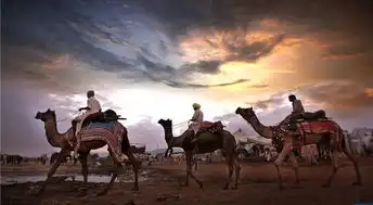 2019班敦旅行主题活动重点安排