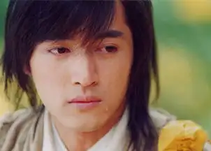 无胡歌不仙剑你看好仙剑5吗