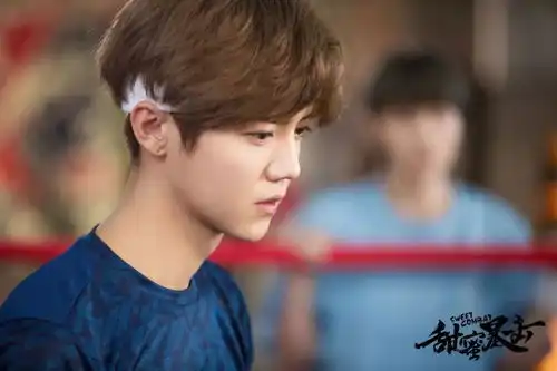 鹿晗关晓彤携甜蜜天团中秋现身广东卫视