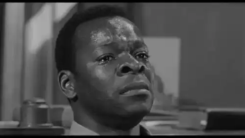 反种族歧视小说杀死一只知更鸟背后的真相
