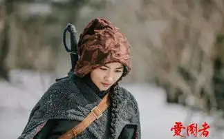 爱国者天黑黑剧照
